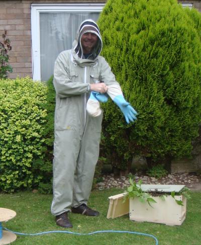 Dave the Bee-keeper